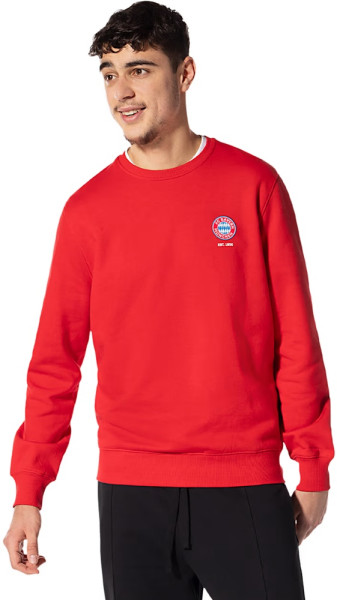 FC Bayern München Sweatshirt Essential 34879