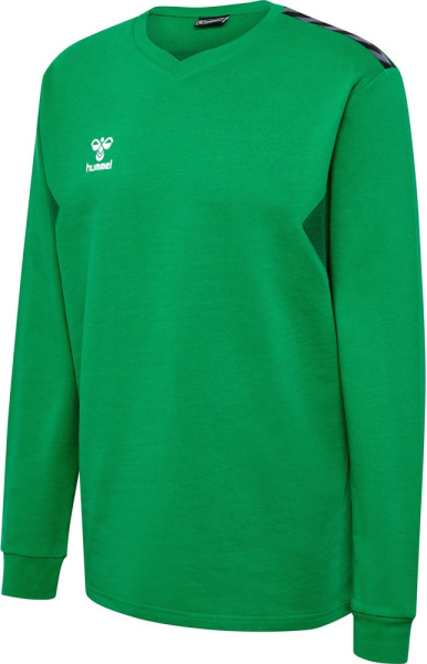 Hummel Sweatshirts & hoodies Hmlauthentic Co Training Sweat