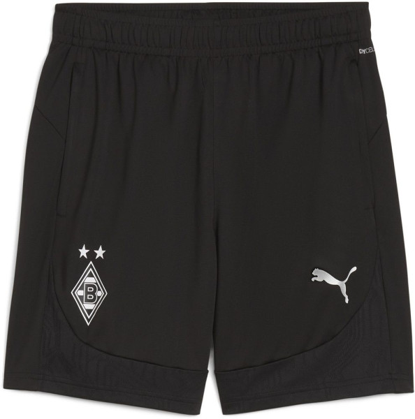 Puma Sport Shorts BMG Training Shorts 777882