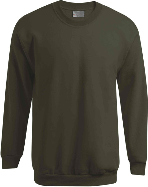 Terrax Basic Rundhalssweatshirt Oliv