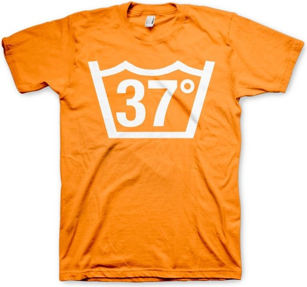 Hybris 37 Celcius Tee T-Shirt Orange